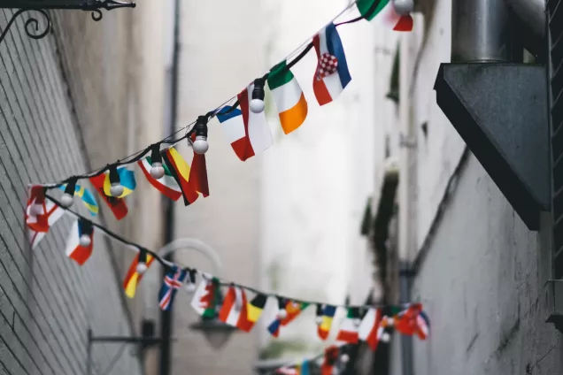 Flags in a city